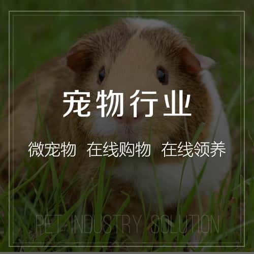 琼中黎族苗族宠物