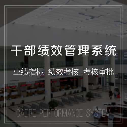 琼中黎族苗族干部绩效管理